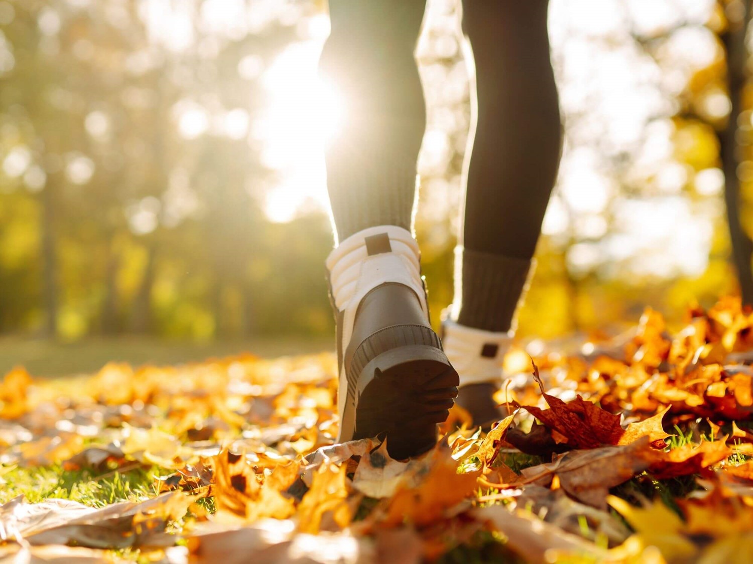 Image of person walking through autumn leaves