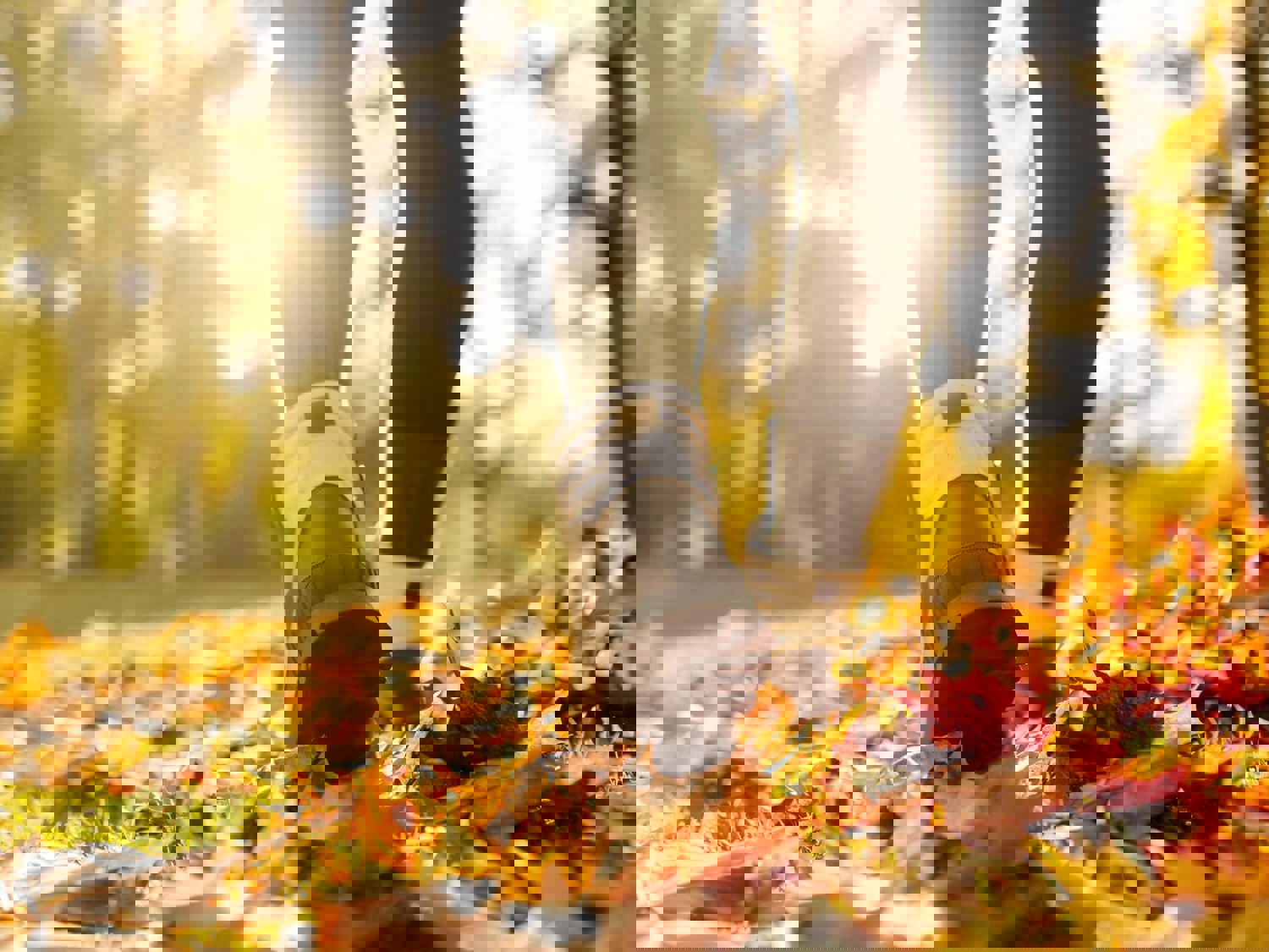 Image of person walking through autumn leaves