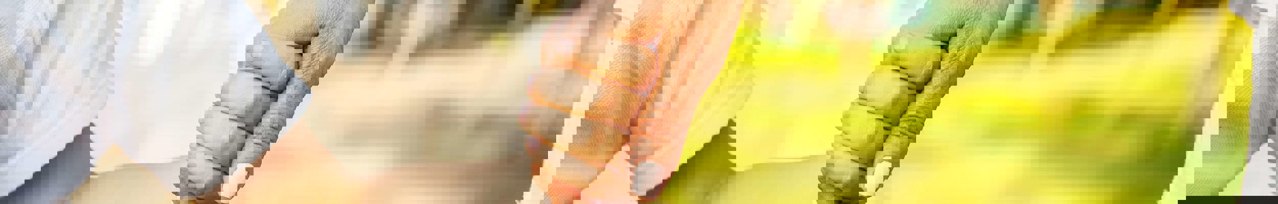 Parent and child holding hands