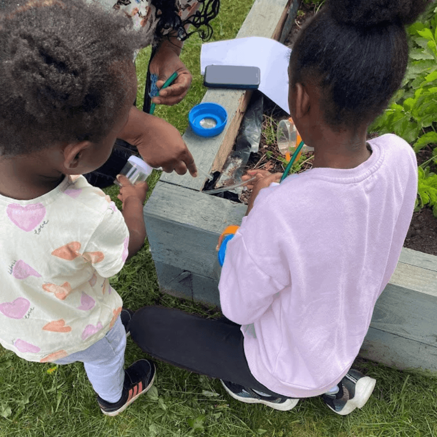 Children hunting for bugs