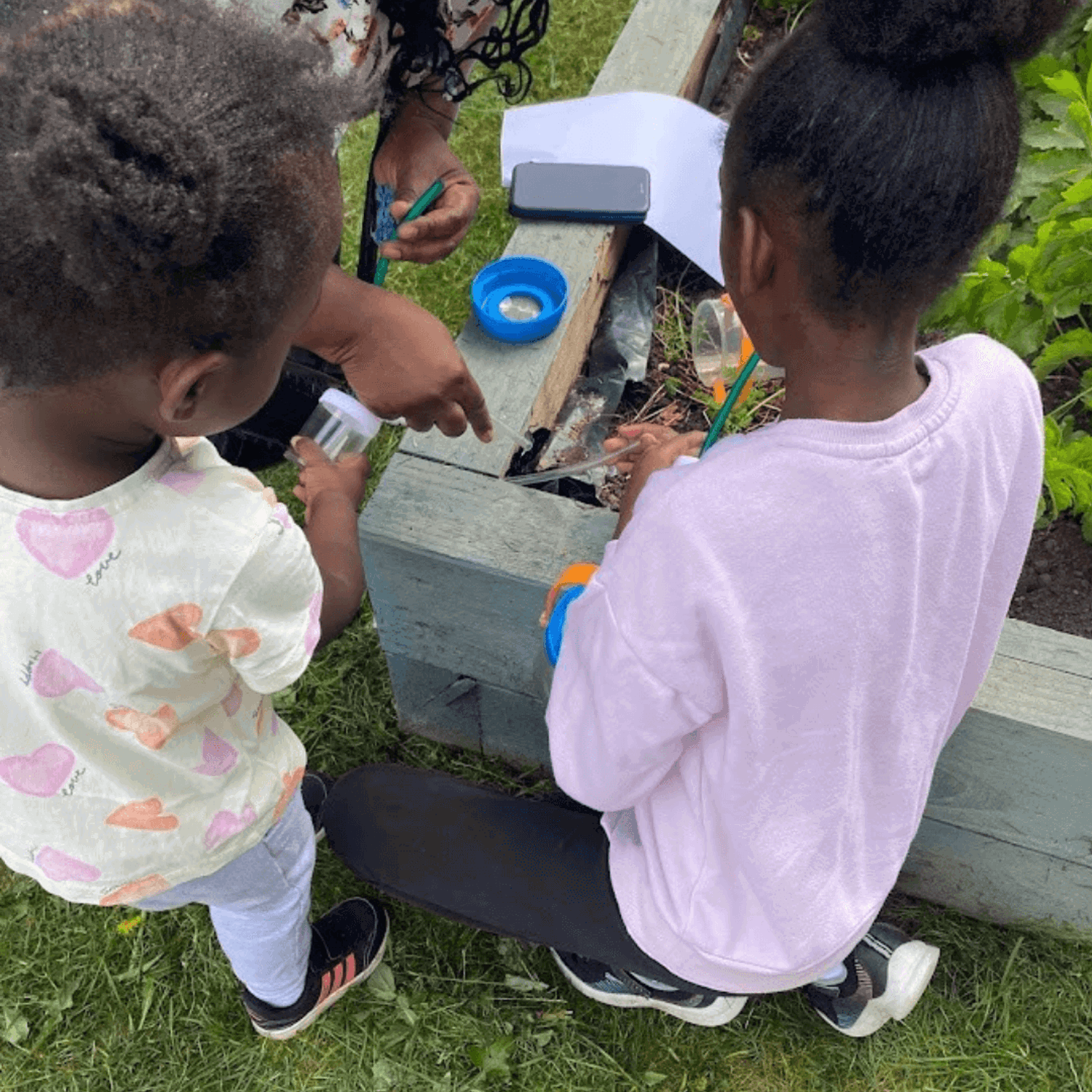 Children hunting for bugs